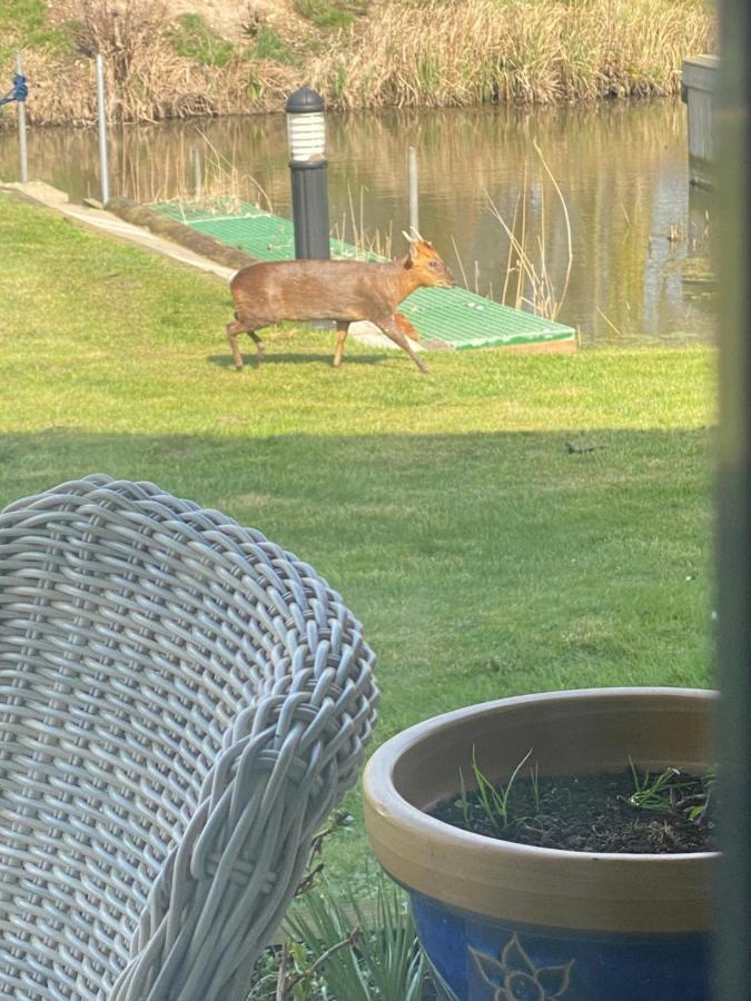 Appartamento Otters End, Near Wroxham Dilham Esterno foto